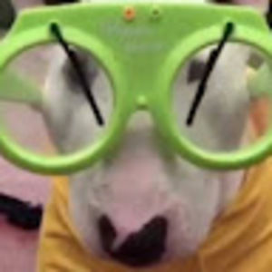 Meet your Posher, Jj